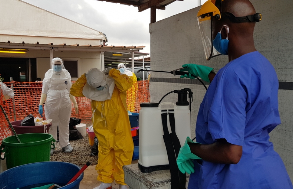 ebola guinée msf