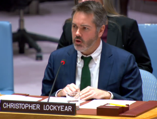 Christopher Lockyear, UN Council 