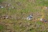 Guiuan, détruite par le typhon en décembre 2013